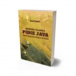 Warisan Sejarah Pidie Jaya